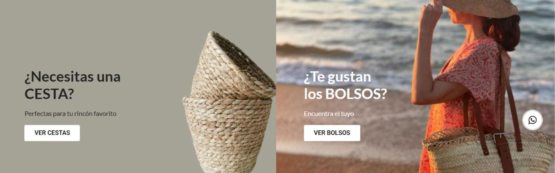 diseño paginas web en alicante