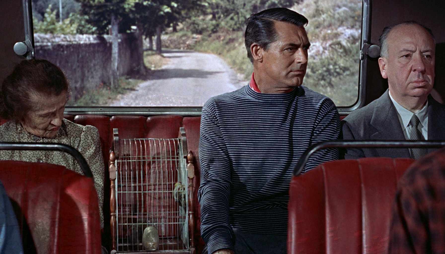 promocionar negocios en alicante