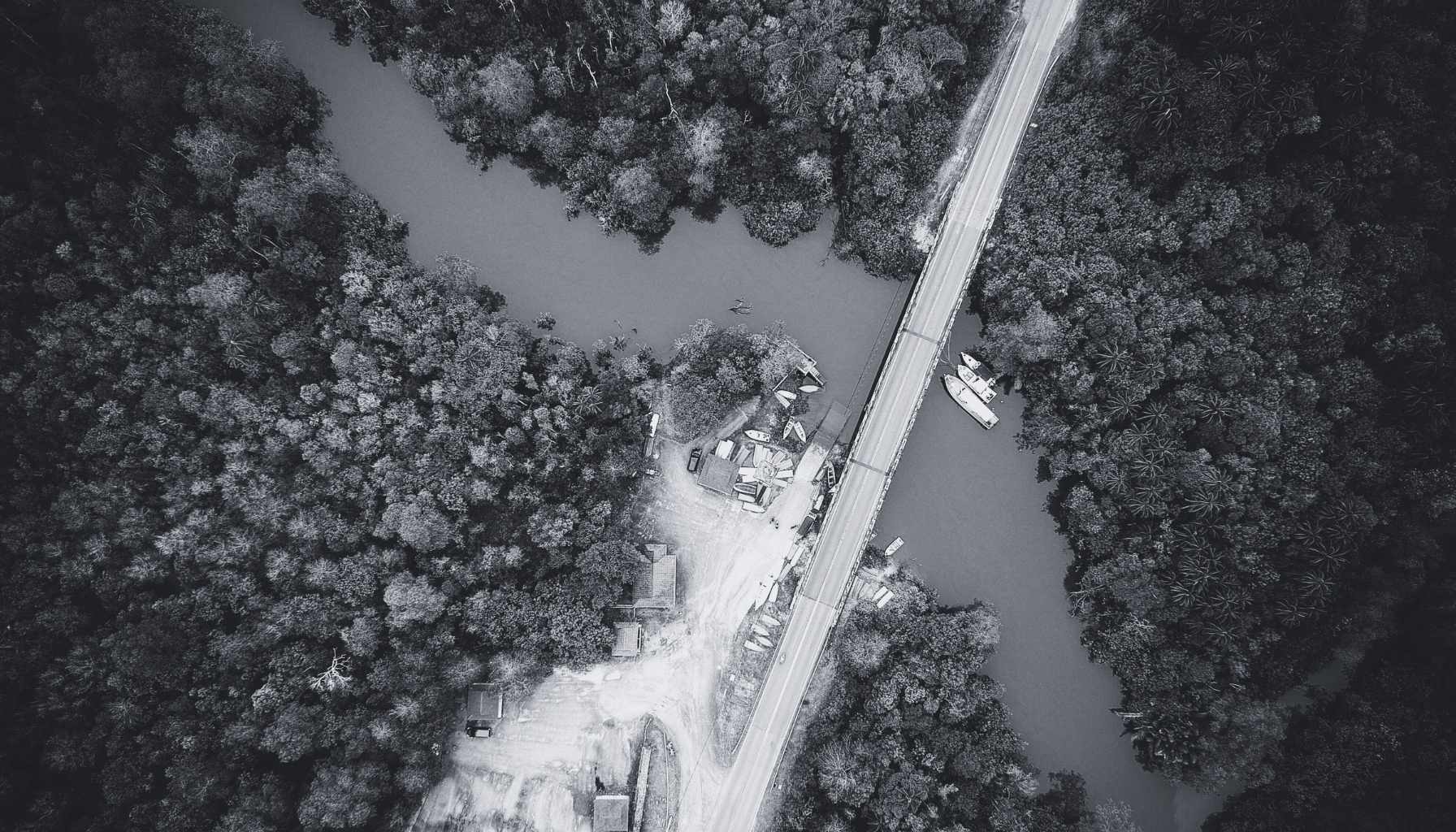 marketing para negocios en Alicante